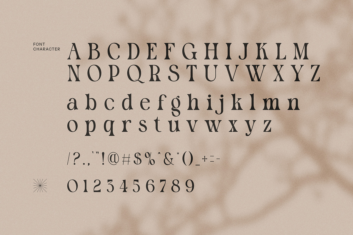 Molyn Modern Serif Font, a Serif Font by Perfectype (Photo 8 of 8)