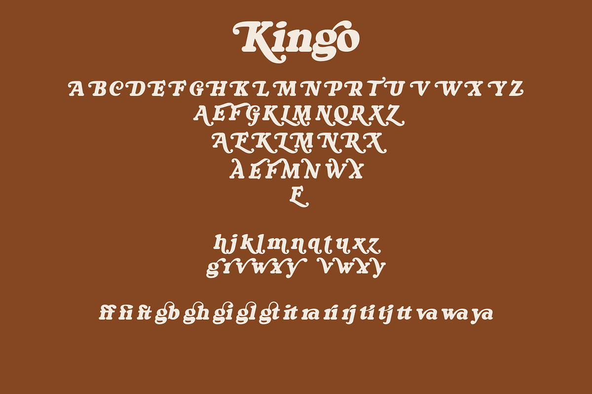 Kingo, a Serif Font by Omotu Studio (Photo 18 of 19)