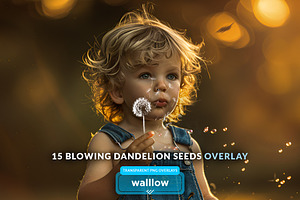 15 Blowing Dandelion Overlays