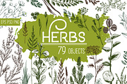 Wild field herbs. Botanical set., a Healthcare Illustration by Alena Kaz (Thumbnail 1 of 12)