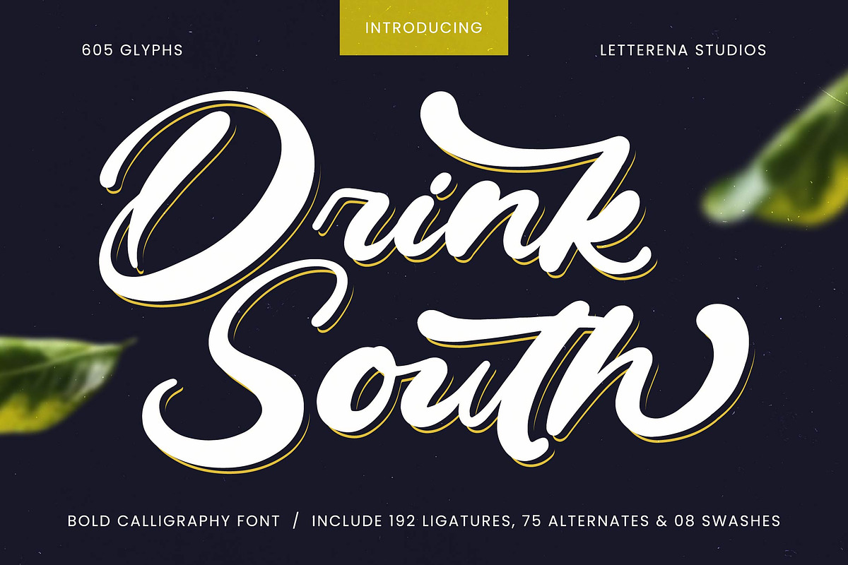 Drink South Bold Calligraphy Font, a Script Font by Letterena Studios Script (Photo 1 of 20)