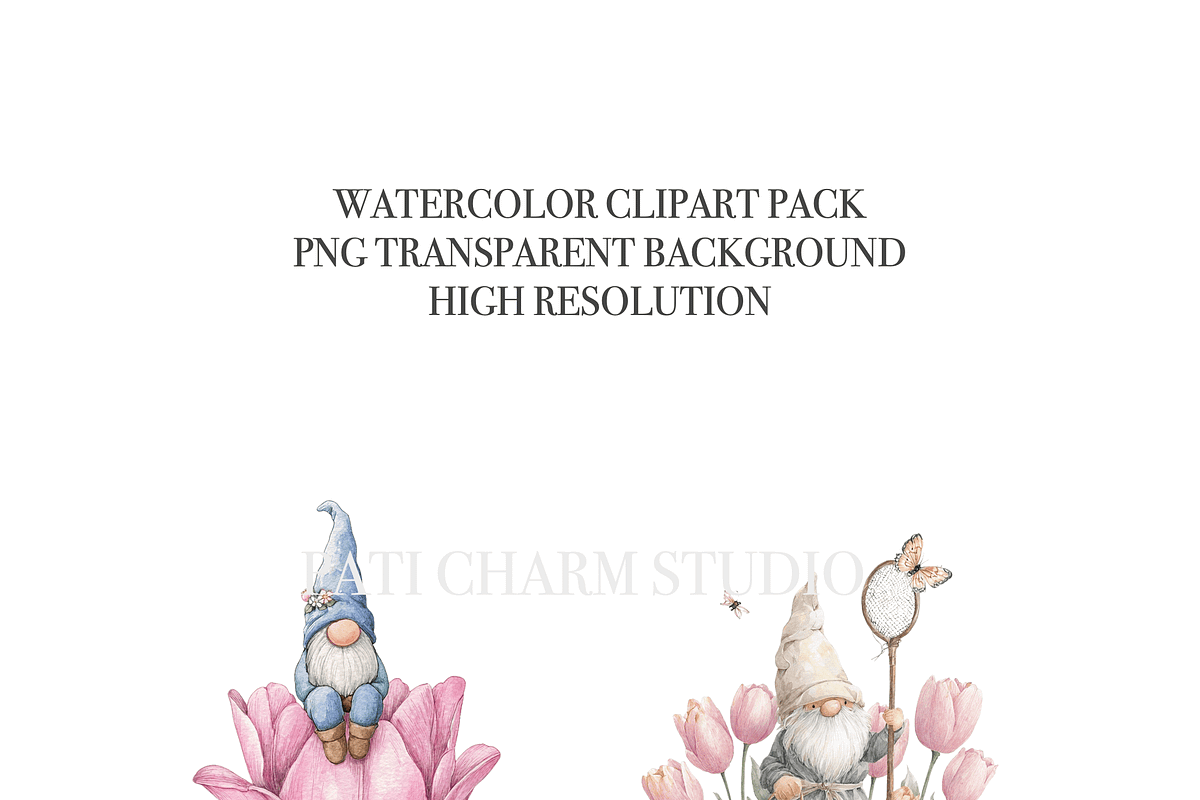 Spring Gnomes Clipart Set, a Decorative Illustration by Pati Charm Studio (Photo 5 of 8)