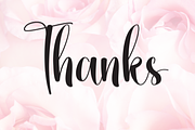 Blushing | Script Font, a Handwritten Font by Scratchones (Thumbnail 8 of 8)