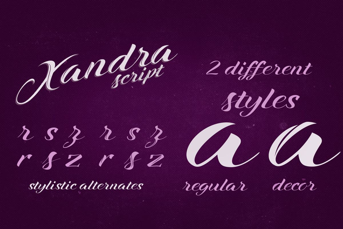 Xandra Script Font Family preview 3