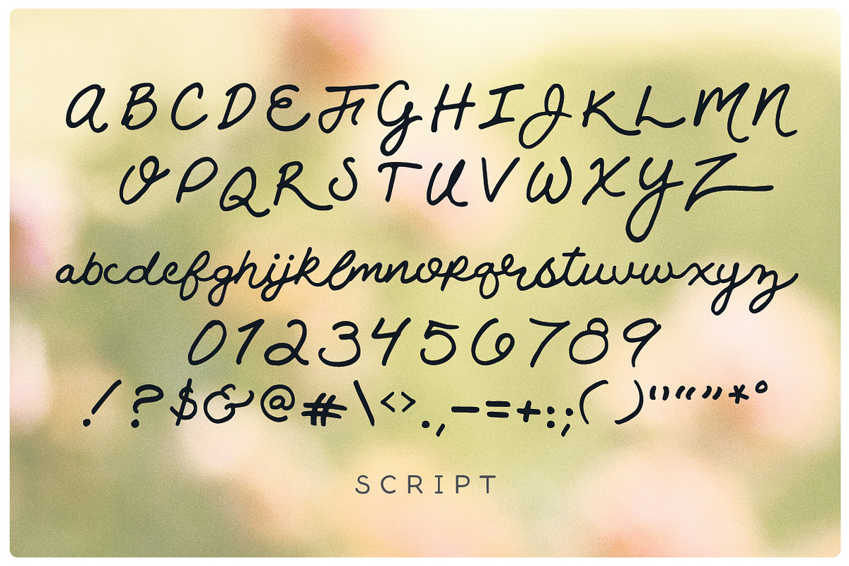 Rosie Script preview 3