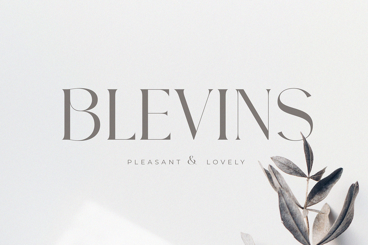CHERMONI, a Serif Font by ToniStudio (Photo 3 of 8)