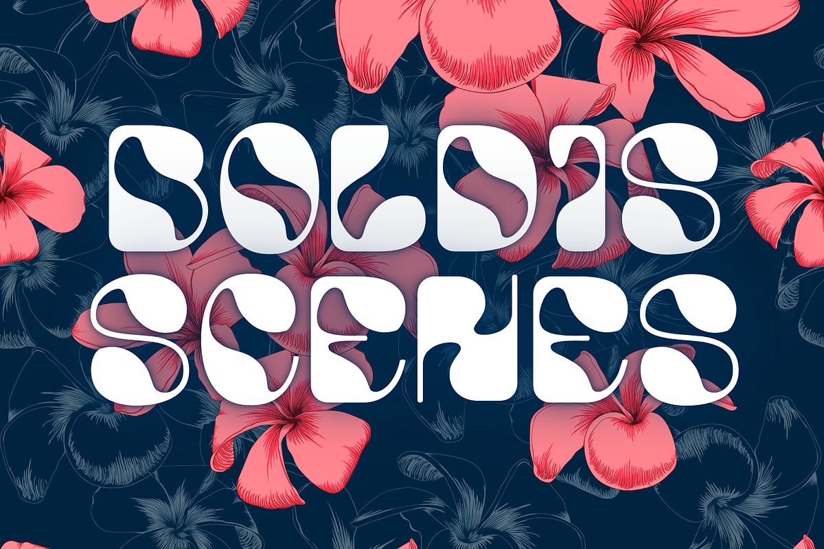 Bold Summer - Bold Display Font, a Font by AuthenType (Photo 3 of 15)