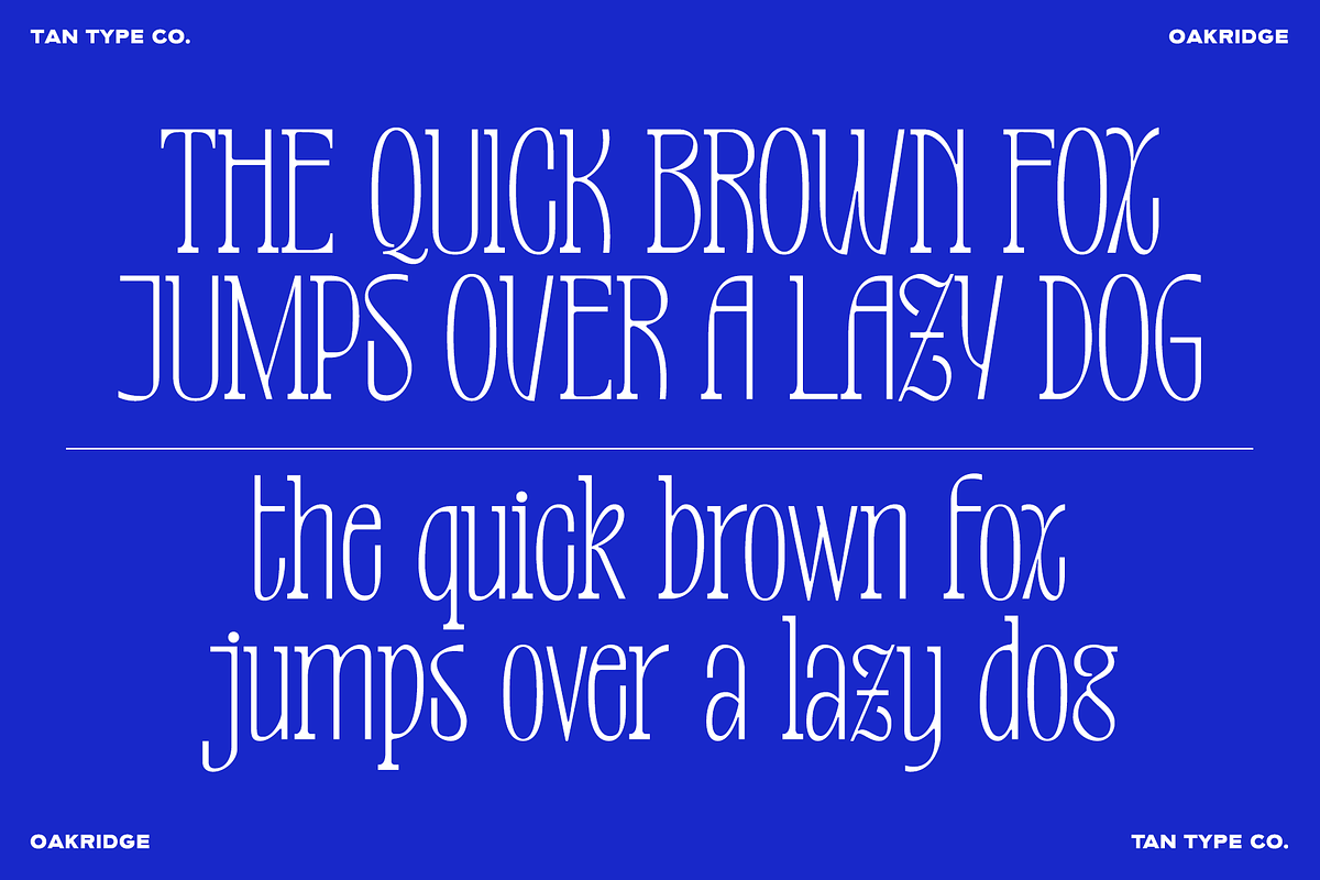TAN-OAKRIDGE, a Sans Serif Font by TanType (Photo 6 of 10)
