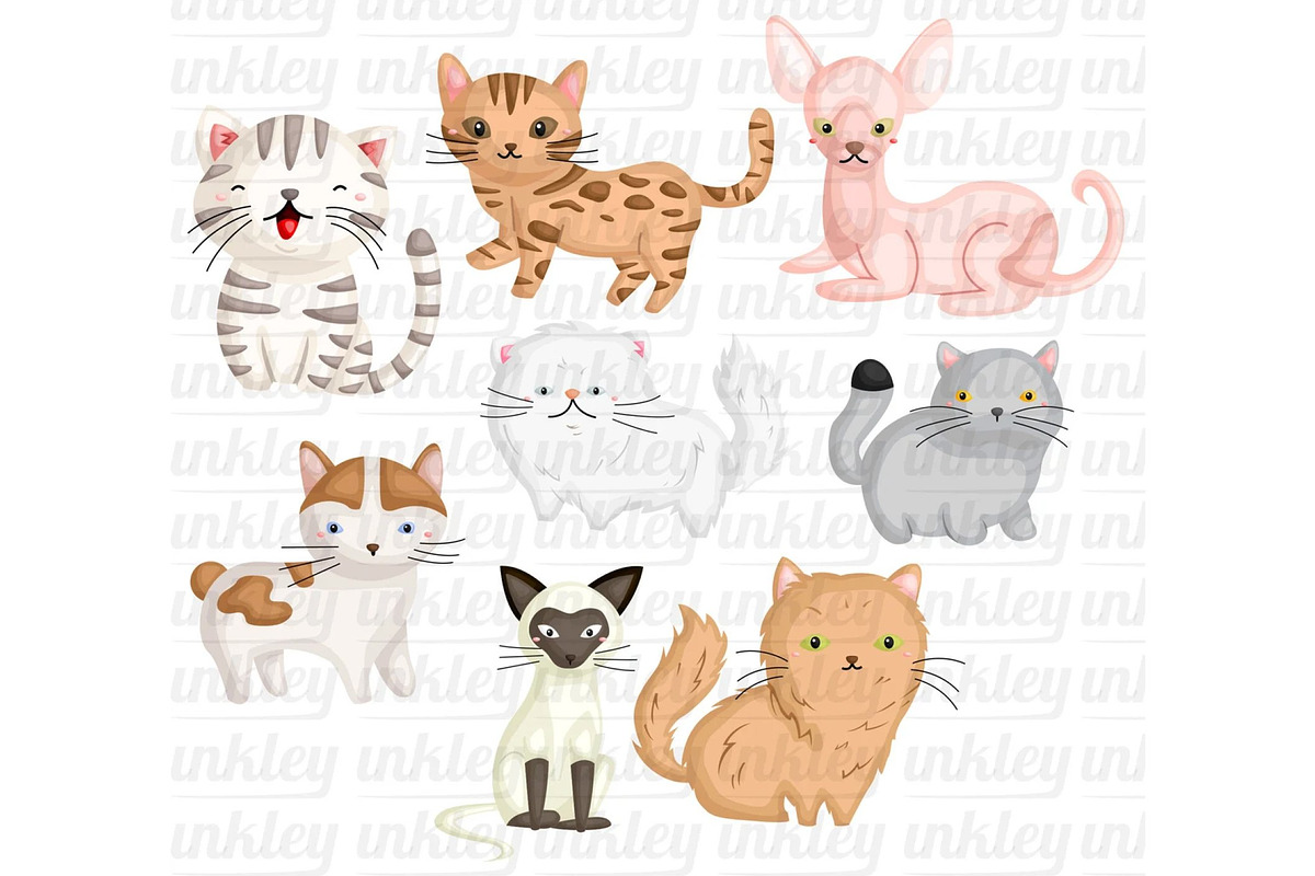 Cat Breed Clipart - Cute Animal, an Animal Illustration by Inkley Studio (Photo 2 of 2)