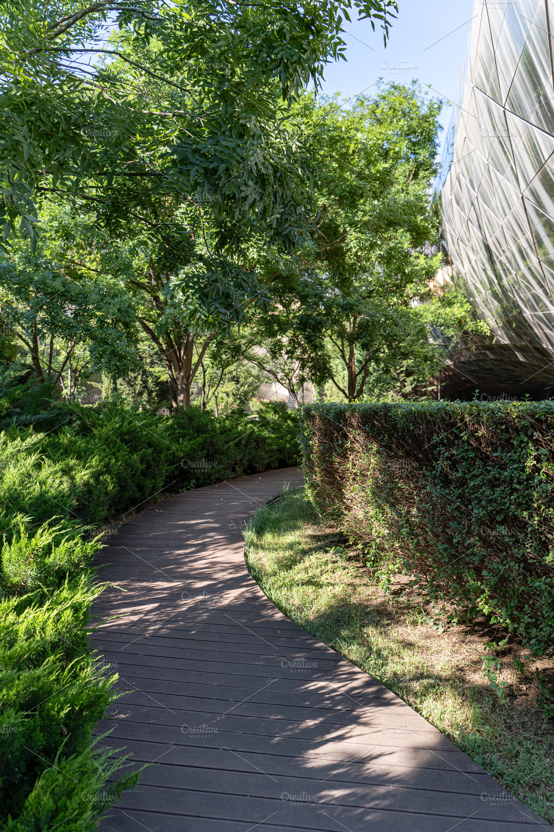 Summer park with walking path, a Nature Photo by Anna Bogush