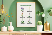 Native Orchids Flowers in  Australia, an Object Illustration by FITALARTSNEDIGI (Thumbnail 5 of 7)