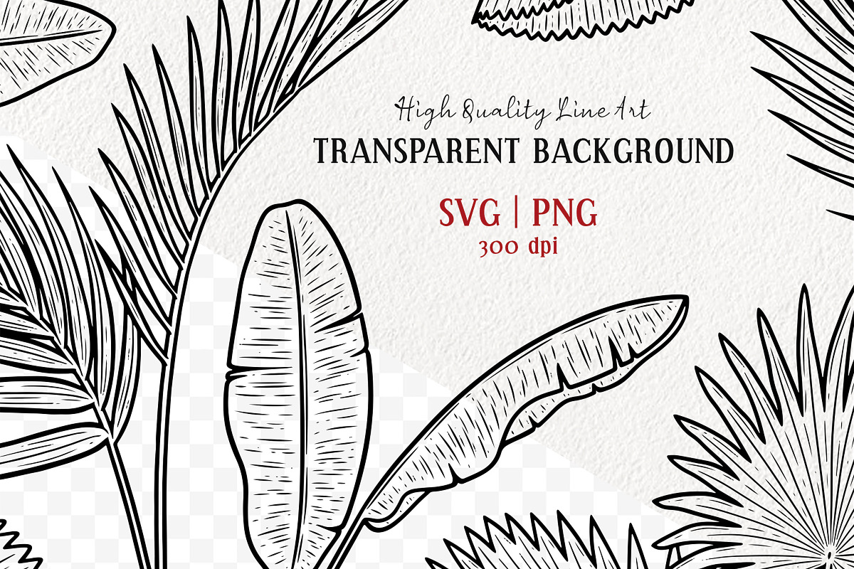 Palm Leaves Vector Line Art Set, an Illustration by MadliArt (Photo 2 of 4)