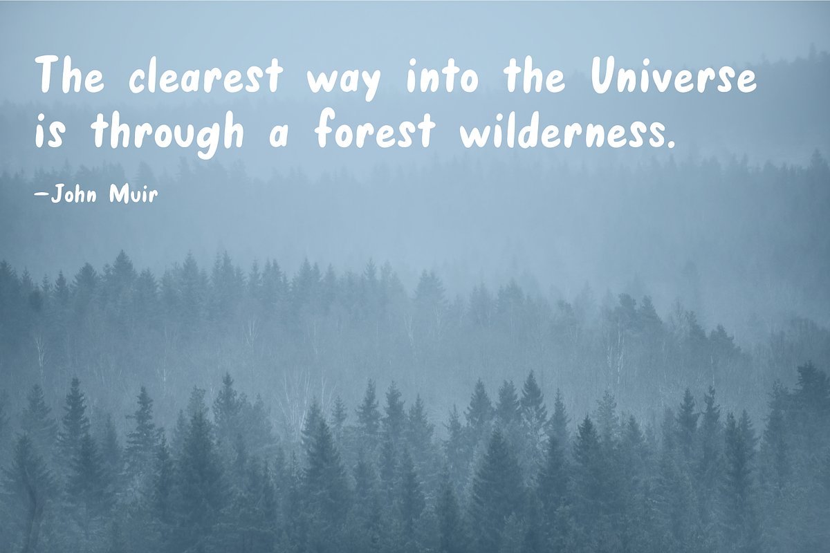 Wander Wild, a Sans Serif Font by Abby Van Haren (Photo 7 of 8)