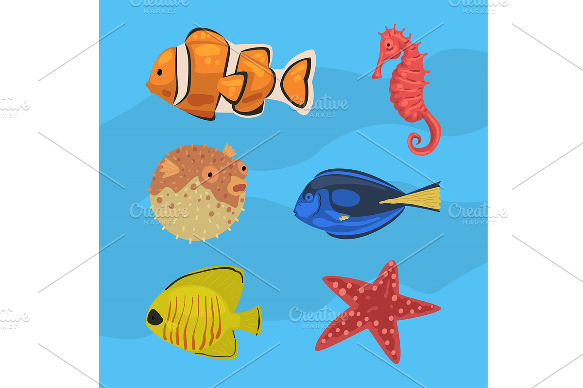 Fish and Marine Mammals as Sea and, an Animal Illustration by TopVectors