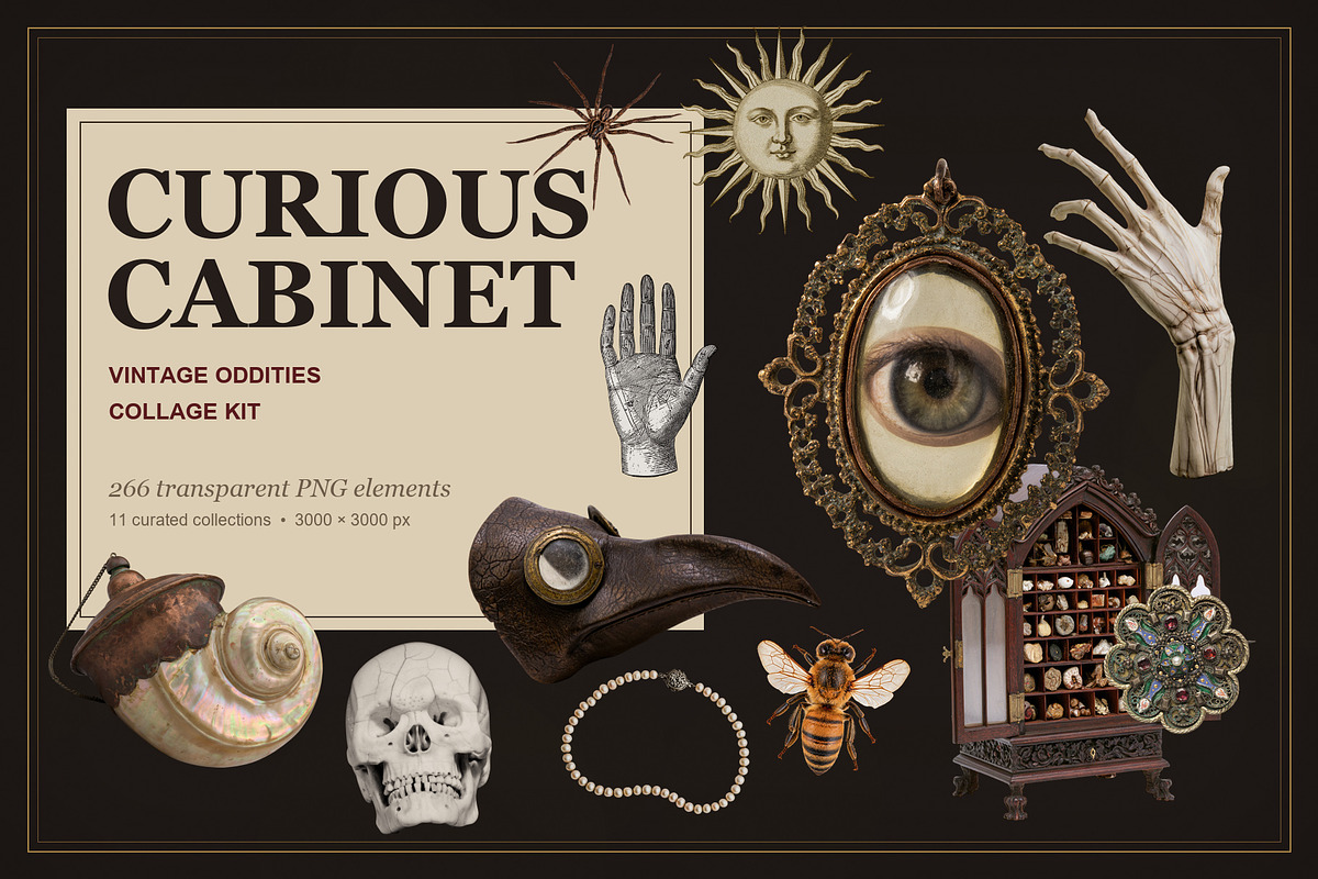 Curious Cabinet Collage Kit, an Object Graphic by Le.nart (Photo 1 of 15)