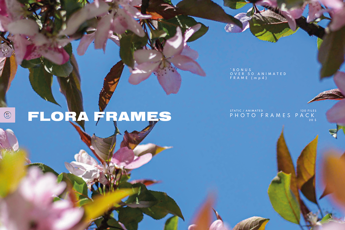 FLORA FRAMES [120 FILES PACK], a Texture Graphic by ZIEBA (Photo 1 of 8)
