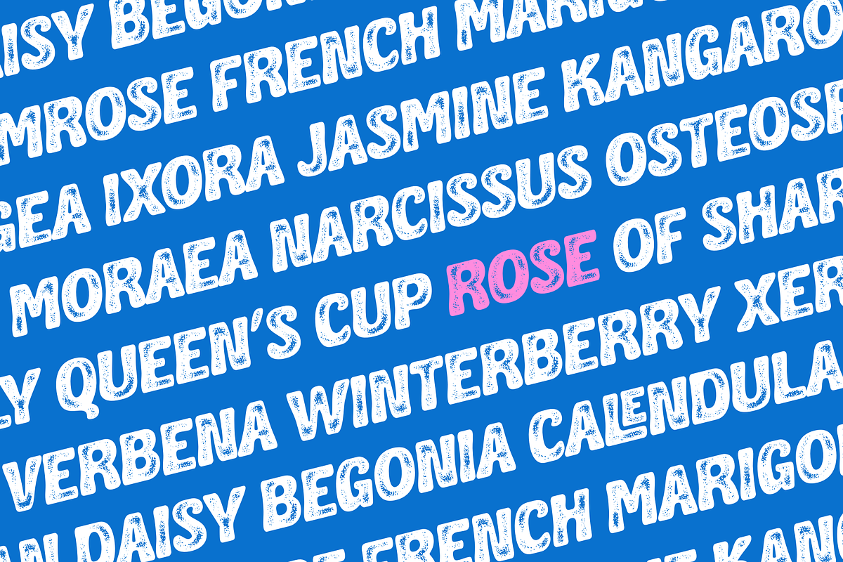Coastline - A Bold Display Font, a Handwritten Font by Ainun Jinan (Photo 5 of 12)