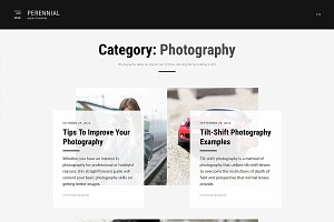 Perennial - WordPress Blog Theme