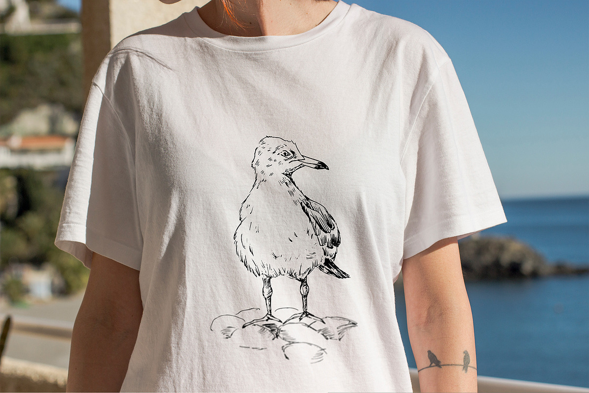 Sea gull. Hand-drawn sketch, an Illustration by Canatic (Photo 4 of 5)