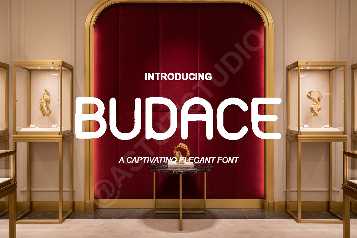 Budace - The Premium High-Contrast M, a Font by Astuti Studio (Photo 1 of 15)