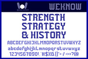 The Trojan Horse font, a Serif Font by weknow (Thumbnail 3 of 8)