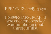 Caster Modern Chic Serif, a Serif Font by Eternity Studio (Thumbnail 8 of 10)