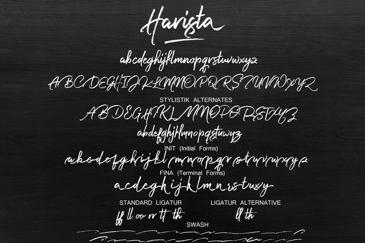 Harista Script, a Script Font by joelmaker (Photo 12 of 13)