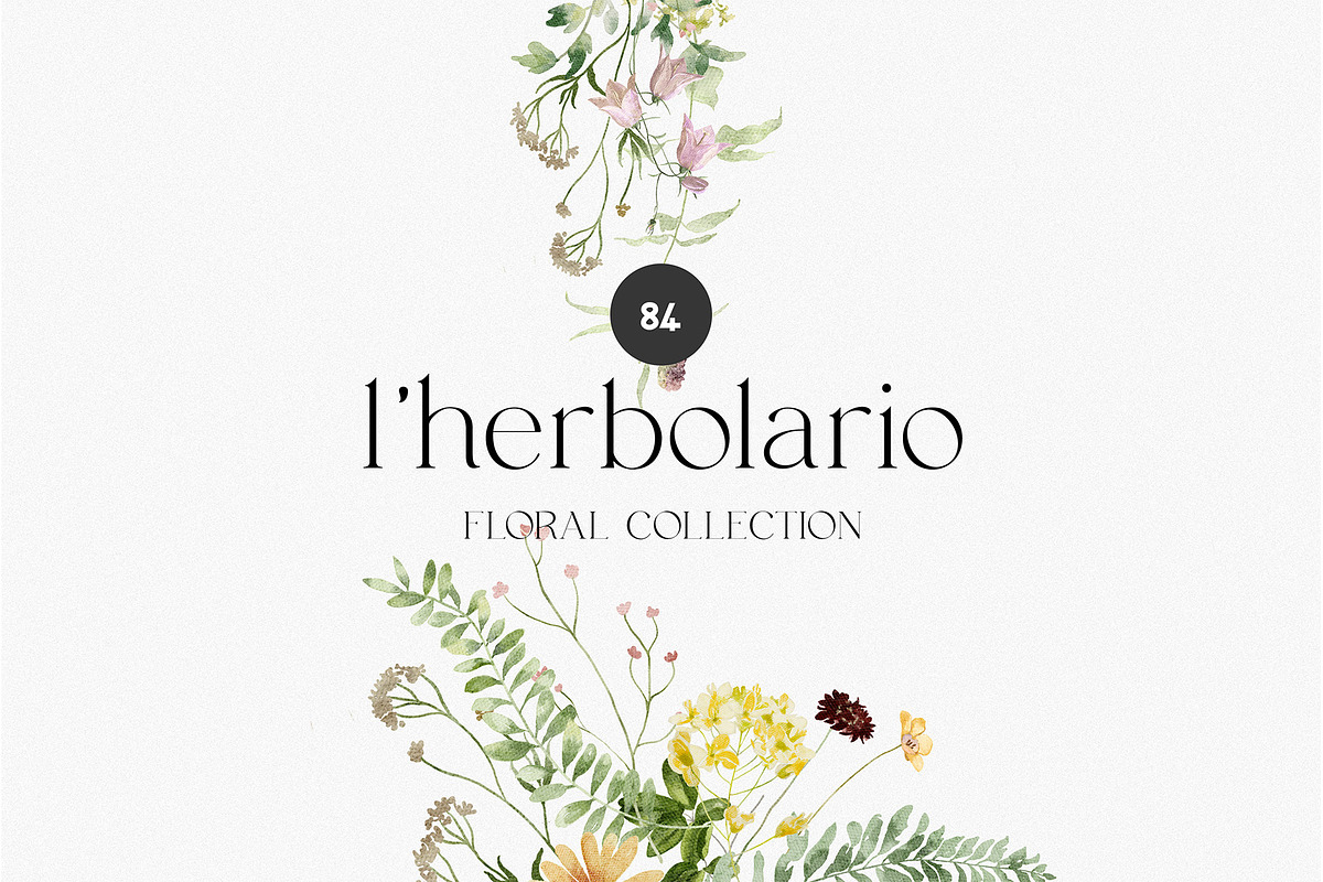 l'Herbolario - Wild Floral Graphics, an Illustration by studioequinox (Photo 1 of 14)