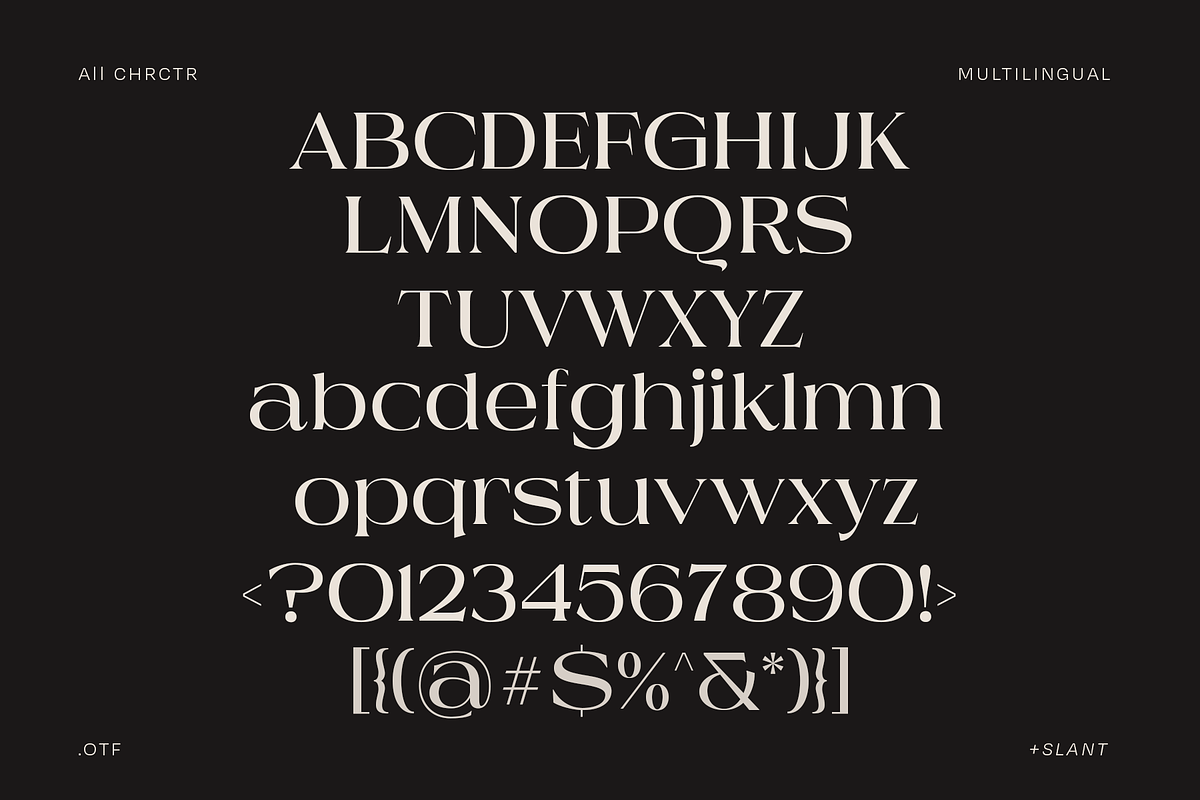 Munale Loird - Modern Display Serif, a Serif Font by Martype Co (Photo 7 of 10)