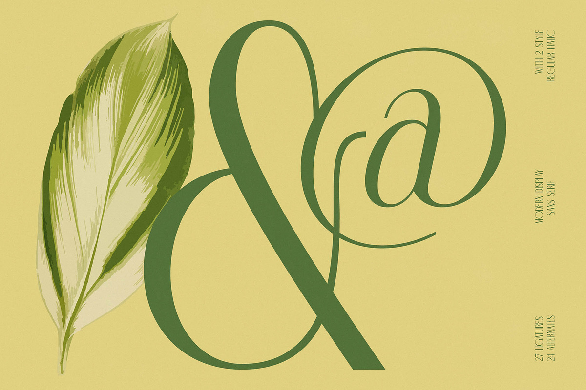 Classic Makore Modern Serif Font, a Serif Font by timelesstype.co (Photo 4 of 20)