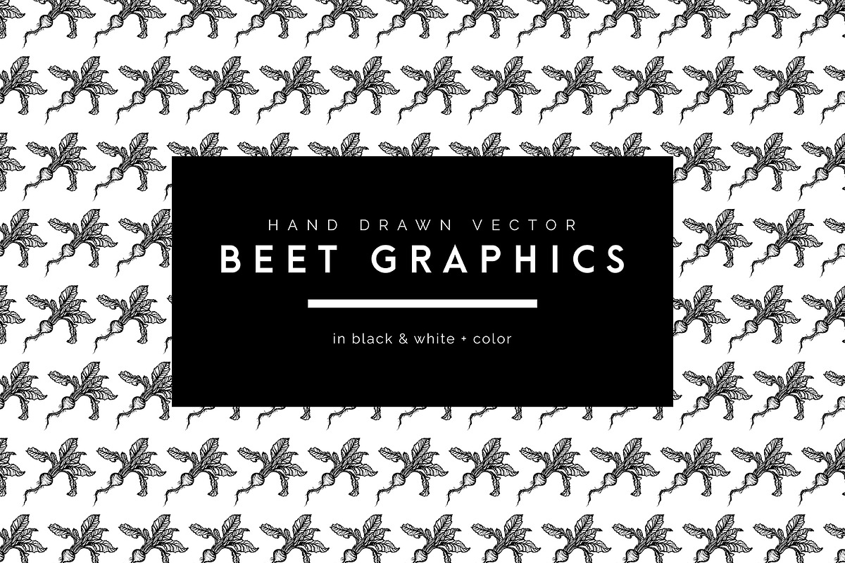 Hand Drawn Vector Beet Graphics, a Food Illustration by Dorey Kronick Art&Design (Photo 1 of 7)