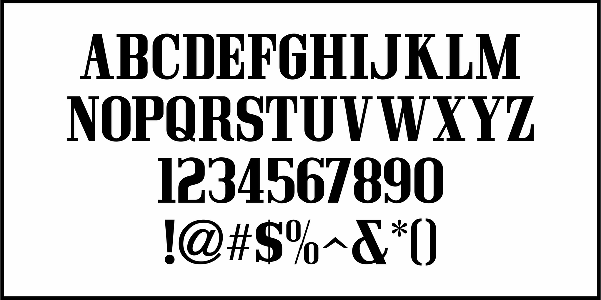 Screenwriter JNL, a Serif Font by Jeff Levine Fonts (Photo 3 of 5)