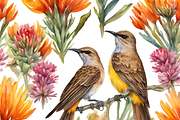 Sugar Bird and Fynbos Flowers, a Decorative Illustration by Karliefie (Thumbnail 2 of 4)