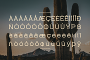 Rantona | Western Slab Serif, a Slab Serif Font by gracetype_studio (Thumbnail 11 of 12)