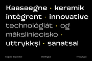 Engobe Expanded, a Sans Serif Font by Fridaytype (Thumbnail 10 of 12)