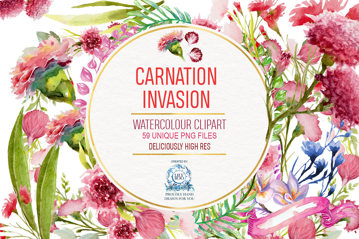 Carnation Watercolor Clipart PNG 59!, a Decorative Illustration by LilyBoo Clipart (Photo 1 of 4)