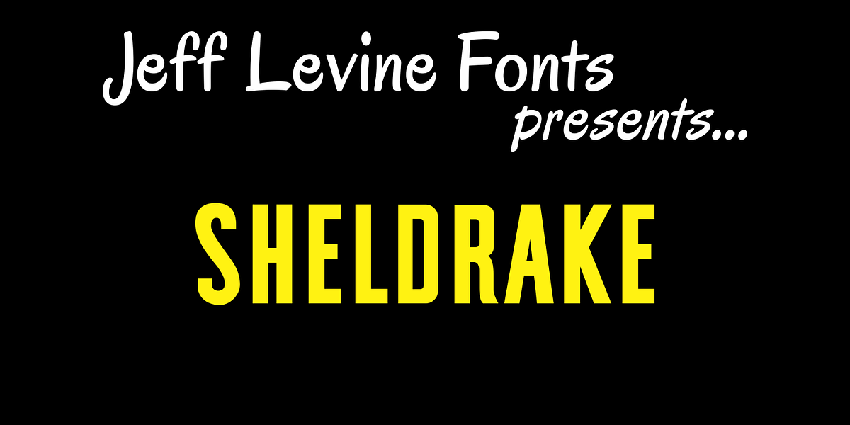 Sheldrake JNL, a Sans Serif Font by Jeff Levine Fonts