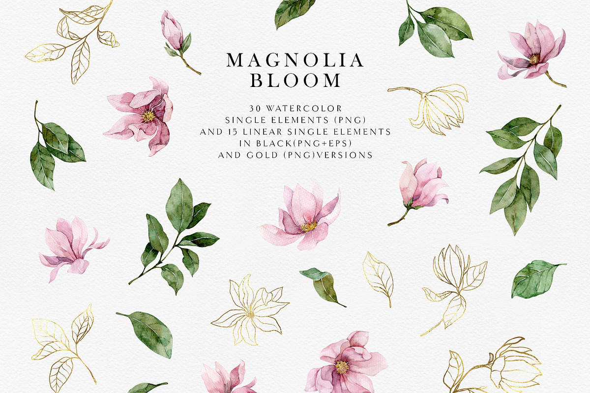 Magnolia bloom - spring floral set, an Illustration by long summer (Photo 10 of 10)