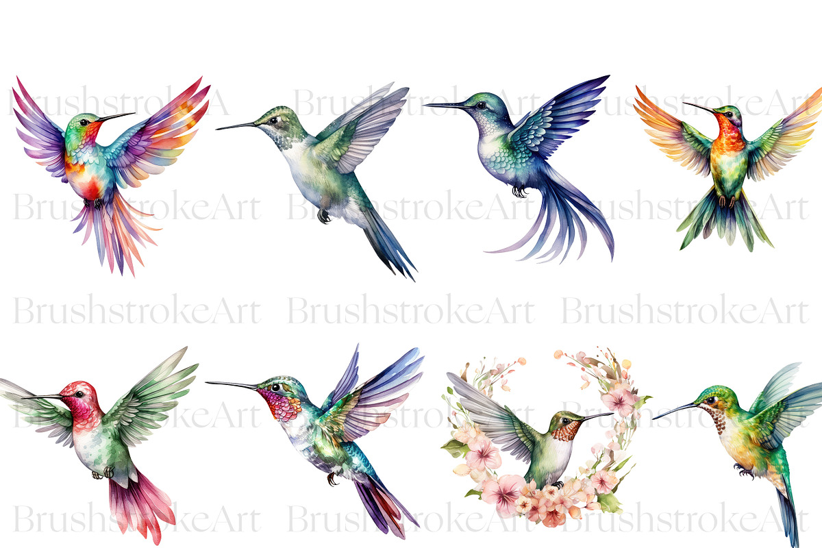 Hummingbird Clipart, Hummingbirds, an Animal Illustration by BrushstrokeArtGB (Photo 4 of 8)