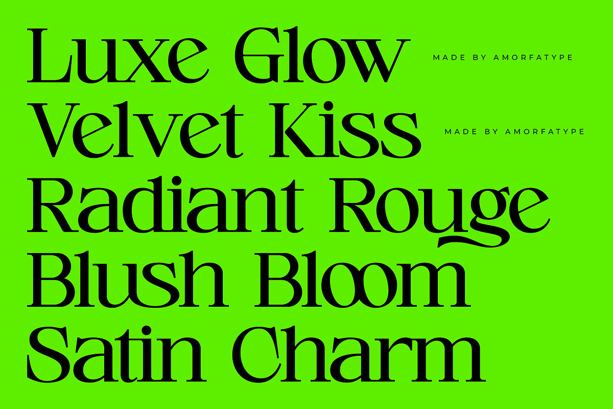 Cerlog  A Modern Serif Display Font, a Font by AmorfaType (Photo 2 of 10)