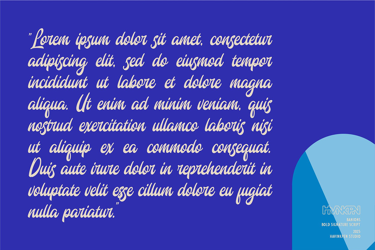Banions | Bold Signature Script, a Script Font by Havinkpen (Photo 5 of 10)