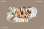 Silk Flower - Modern Serif, a Serif Font by Megi Satyo Widodo (Thumbnail 3 of 26)