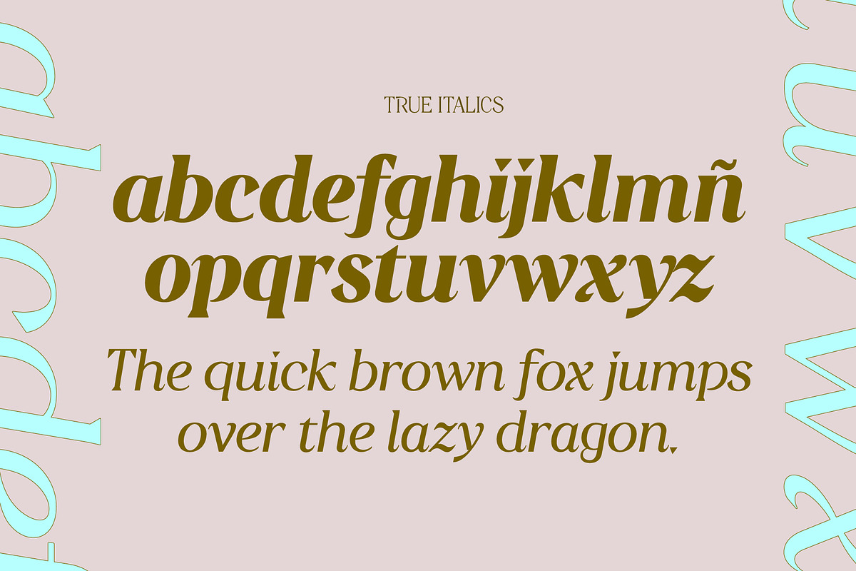 A High Contrast Sharp Serif | Sobria, a Serif Font by Pedroglifos (Photo 6 of 15)