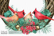 Christmas Teal Clipart Cardinal Bird, an Illustration by Ksenia Shmakova (Thumbnail 11 of 16)