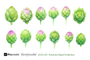 Hand-Painted Artichoke Clipart, a Decorative Illustration by crafty (Thumbnail 5 of 6)