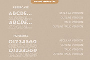Greting Spring Duo, a Script Font by Letter Fresh (Thumbnail 12 of 13)
