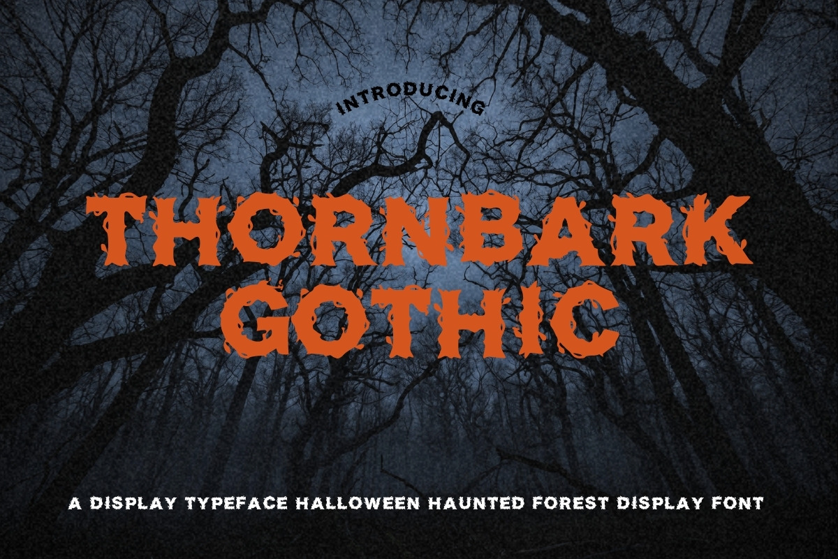 18 Spooky Horror Font Bundle, a Script Font by AN Productions (Photo 4 of 48)
