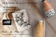 BUNDLE - Fruit & Berries Collection, a Food Illustration by Yevheniia (Thumbnail 9 of 9)