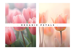 Organic Floral Flowers