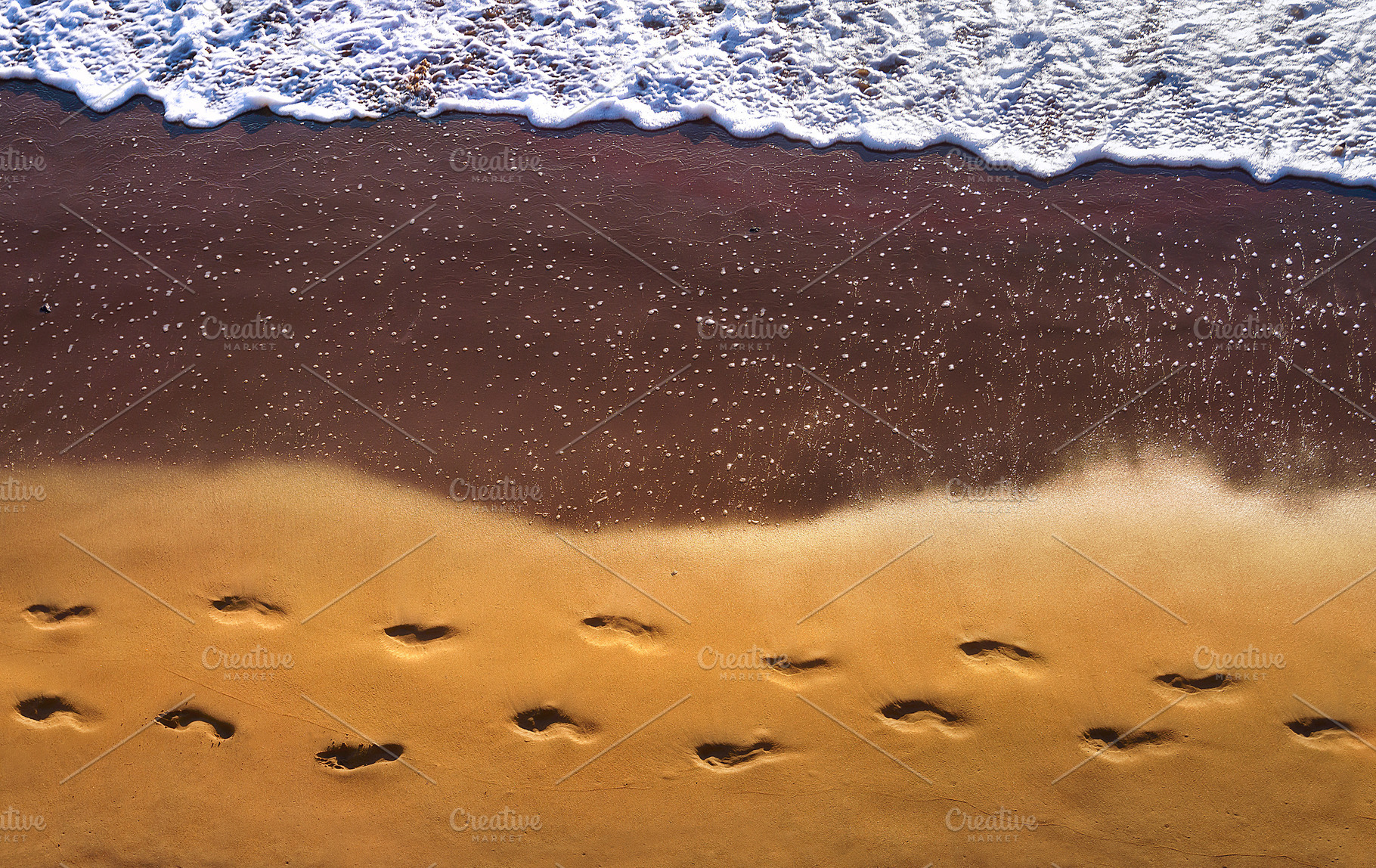 Walk in the beach, a Nature Photo by mimadeo